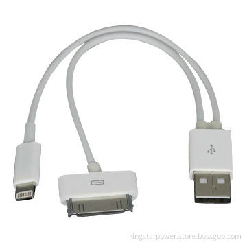 2-in-1 USB to 8/30-pin Data Charge Adapter Cable for Apple iPhone 5/4/4S